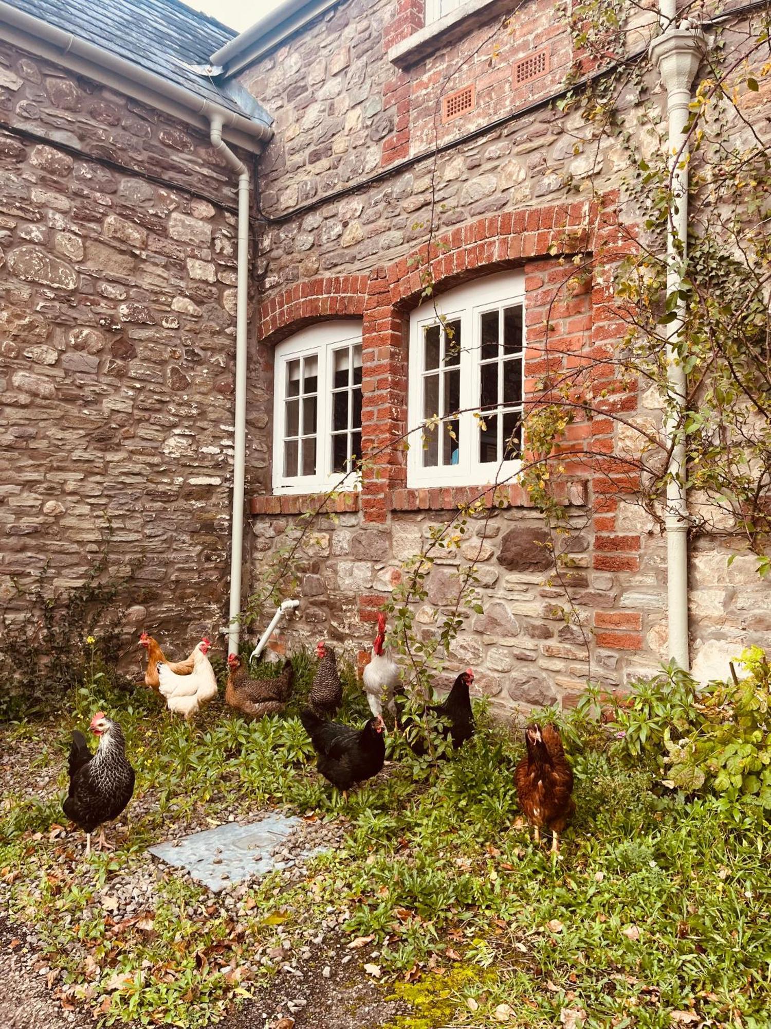The Cottage Abergavenny Ngoại thất bức ảnh